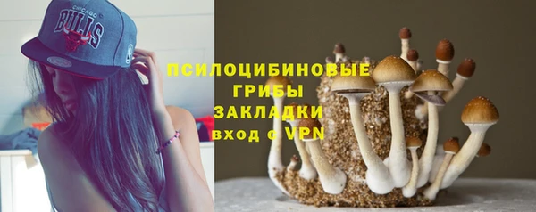 ешки Наволоки