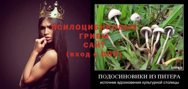ECSTASY Михайловск