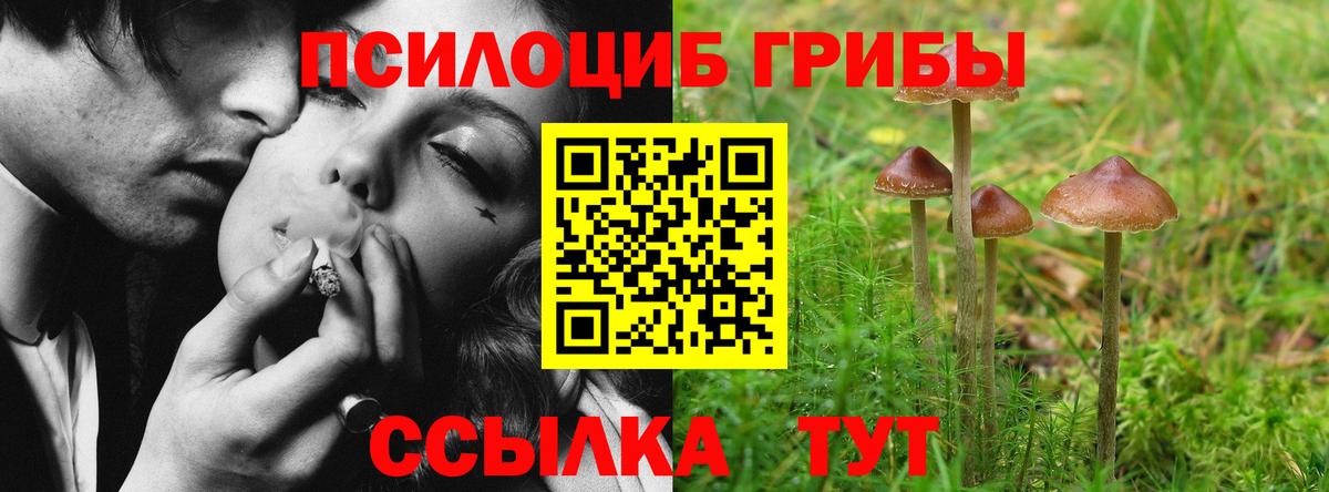 Галлюциногенные грибы Psilocybine cubensis  Галлюциногенные грибы мухоморы  Гуково  Вход с VPN 